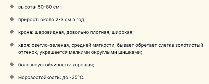 Описание туи «вотерфилд» для дачного участка