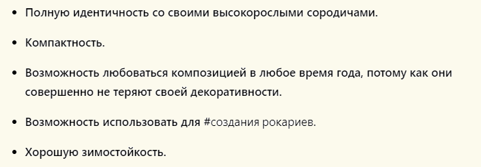 Плюсы хвойных растений для ландшафтного дизайна