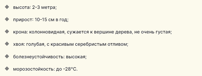 Описание низкорослого хвойника для дачи