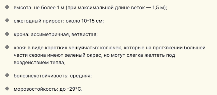 Описание низкорослого хвойника для дачи
