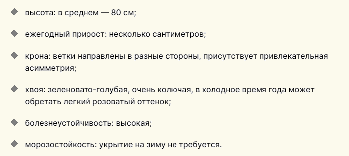 Описание низкорослого хвойника для дачи