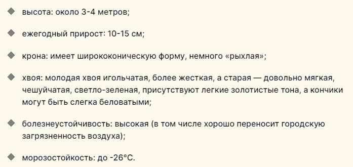 Описание туи «элегантиссима» для дачи