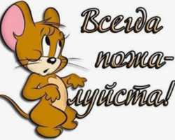 Что ответить на «Всегда пожалуйста»: перечень фраз