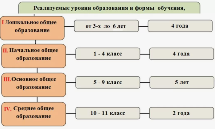 Образование в рф