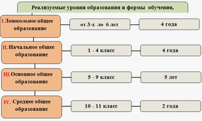 Образование в рф