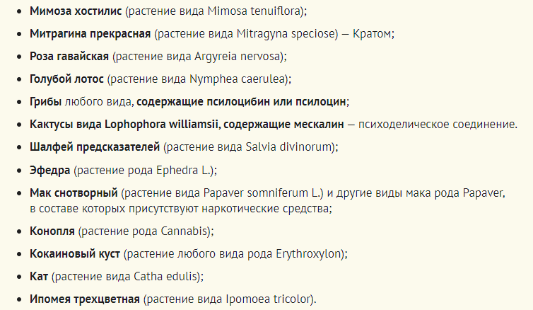 Цветы, растения, которые запретили сажать на огороде, даче
