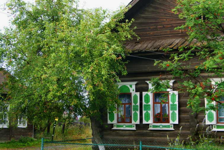 Липу можно посадить во дворе
