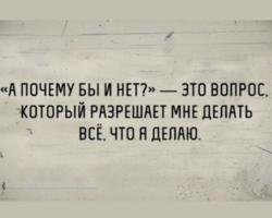 Что ответить, если тебе сказали «Почему бы и нет?»: примеры, оригинальные фразы