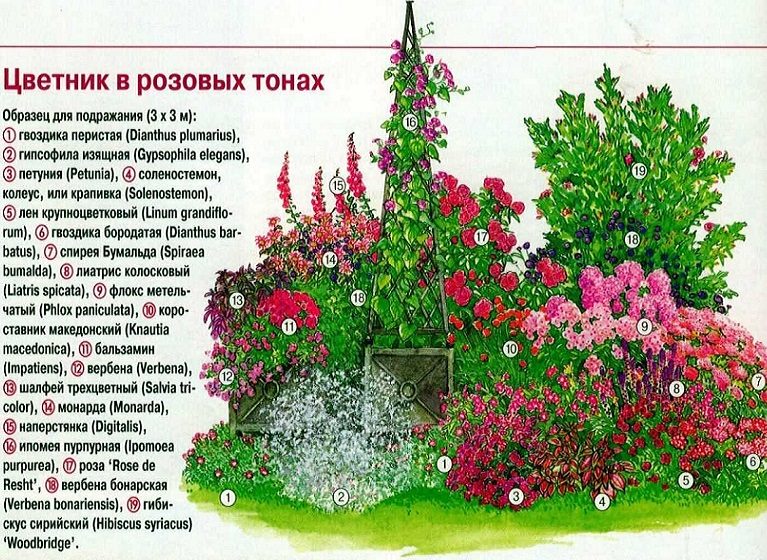 Клумба в розовых тонах
