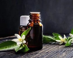 Эфирное масло нероли: магические свойства, приметы, суеверия, что привлекает