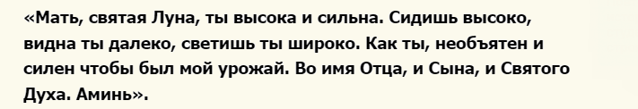 Шепотки на хороший урожай капусты