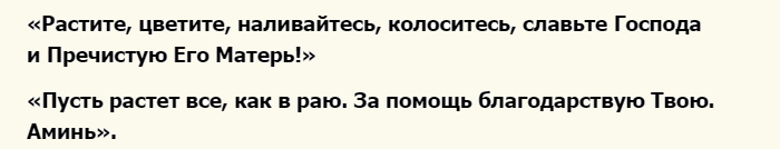 Сильные шепотки на хороший урожай баклажан
