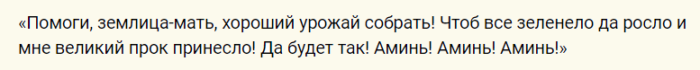 Деревенские шепотки на хороший урожай картошки