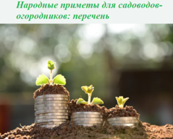 Народные приметы для садоводов-огородников: перечень