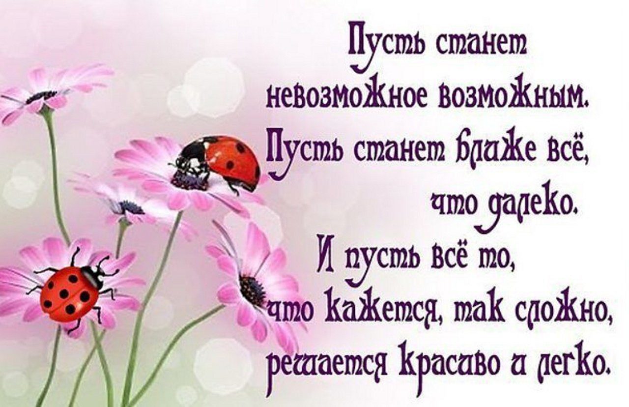Теплые слова