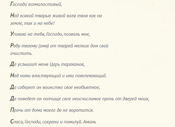 Слова заговора от тараканов