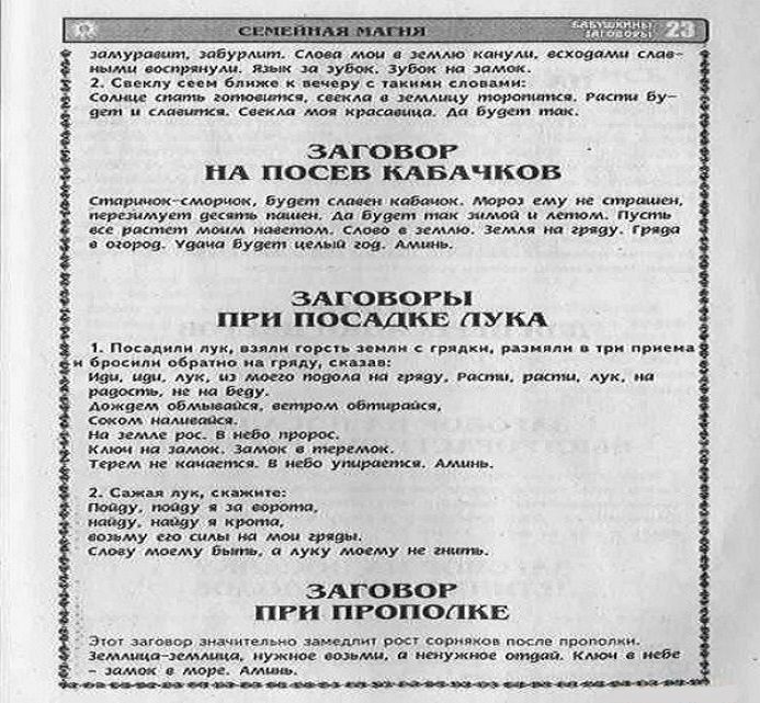 Скриншот 04-04-2024 200200