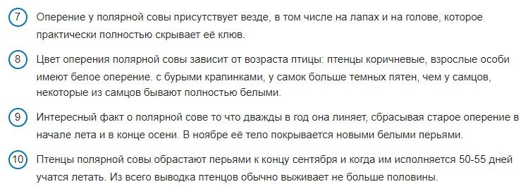 Интересные факты о строении белой совы