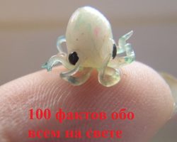 100 самых интересных фактов обо всем на свете: а вы знали?