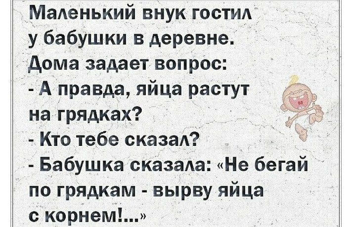 Очень смешные шутки про бабушек