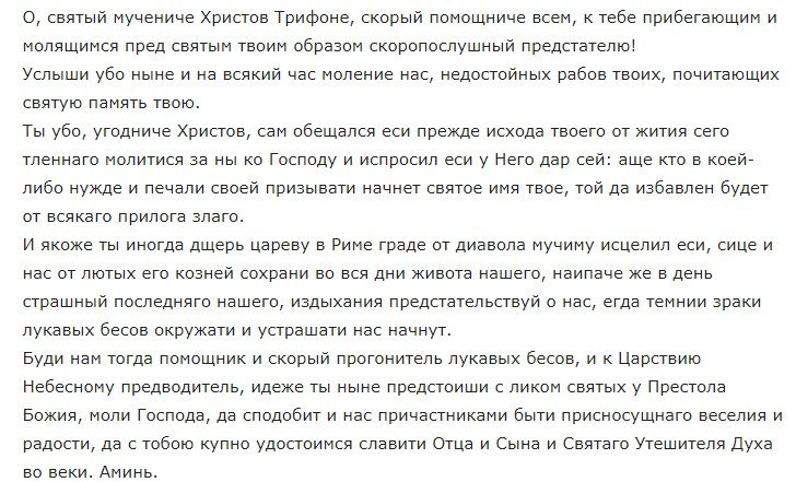 Молитва святому трифону, чтобы собака вернулась домой