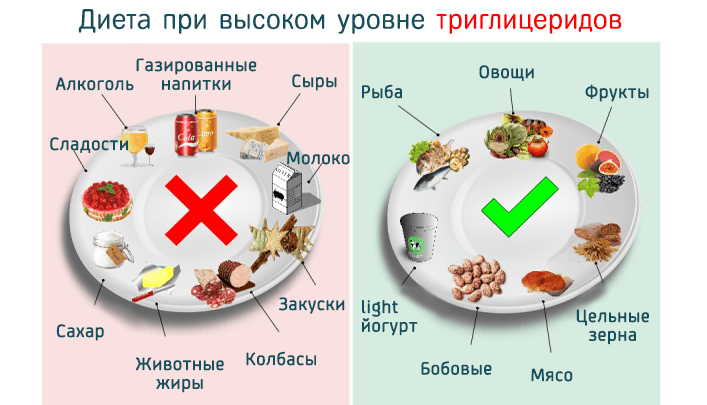 Diet with increased TG