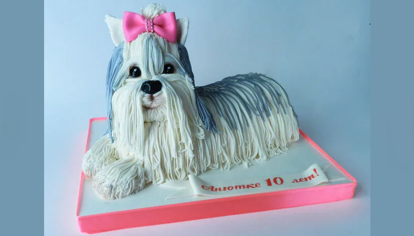 3D dog, decorated with mastic noodles