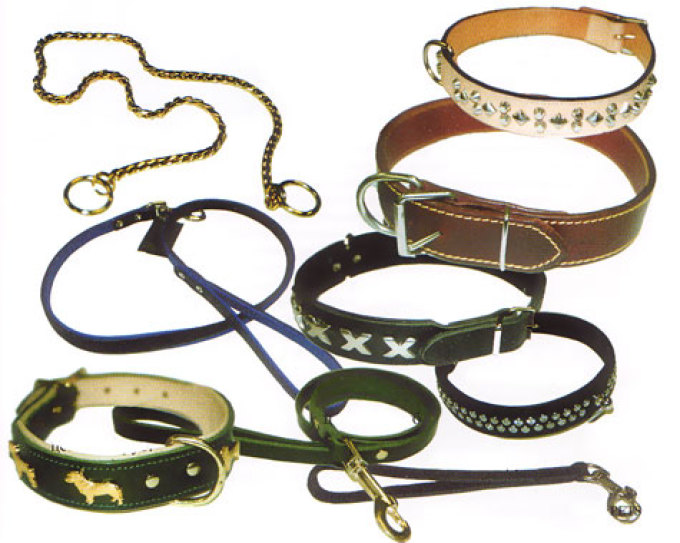 Collars and leashes for dogs