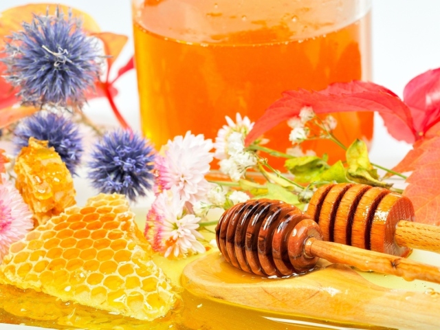 A méz előnyei és károsodása. Lehet -e a méz terhes?