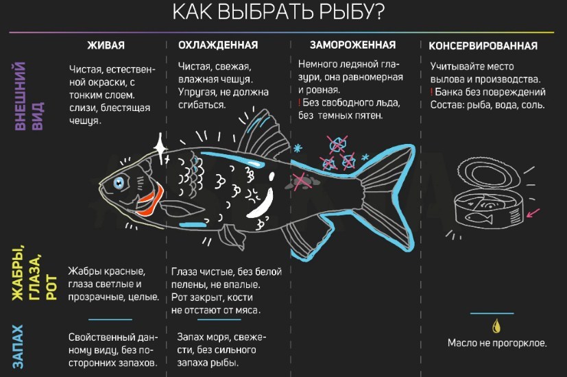 Выбор рыбки