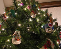 Comment mettre un arbre de Noël en direct à la maison sans stand et se croiser dans un seau avec du sable ou dans l'eau pour la nouvelle année? Comment choisir un arbre de Noël en direct dans un arbre de Noël: Conseils. Quelle date pouvez-vous mettre un arbre de Noël à la maison sur Feng Shui et à quel endroit dans la maison, appartement?