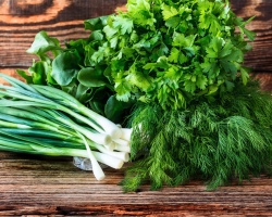 Kako shraniti sveže zelenice v hladilniku? Kako in koliko shraniti zeleno čebulo, peteršilj, svežo meto, špinačo, baziliko, koper v hladilniku?