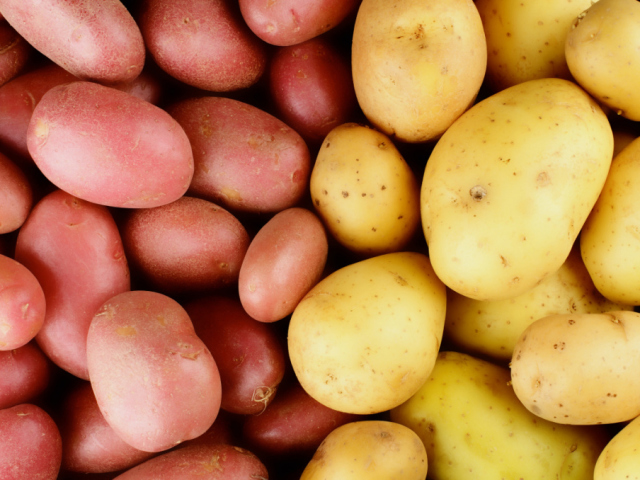 Είναι δυνατόν να τρώτε πράσινες πατάτες από το φως από ό, τι είναι επιβλαβές; Τι να κάνετε εάν οι πατάτες είναι πράσινες;