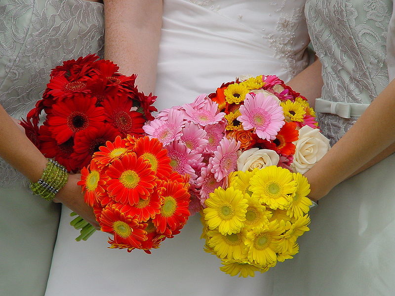 Букет невесты из гербер может быть как в одной цветовой гамме, так и сочетать в себе много красок