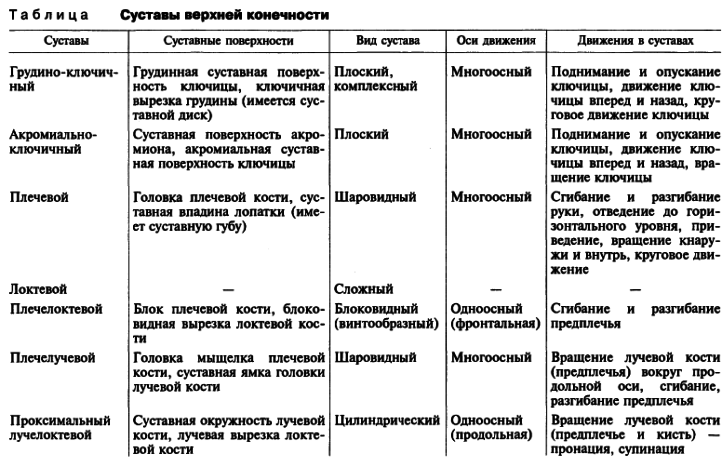 Таблица строения суставов с функциями