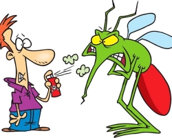 Why fight mosquitoes or what is their danger? How do mosquitoes penetrate our home? The best ways and folk remedies that will help fight mosquitoes in the apartment, private house, in a summer cottage? How to quickly get rid of mosquitoes with a home -made trap?