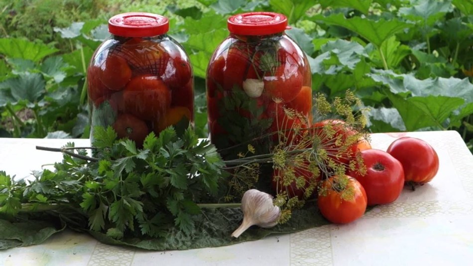 Wie man rote Tomaten in einem Fass salzt