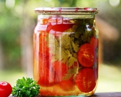 Tomates avec persil pour l'hiver: la meilleure recette de pas en pas avec des ingrédients détaillés