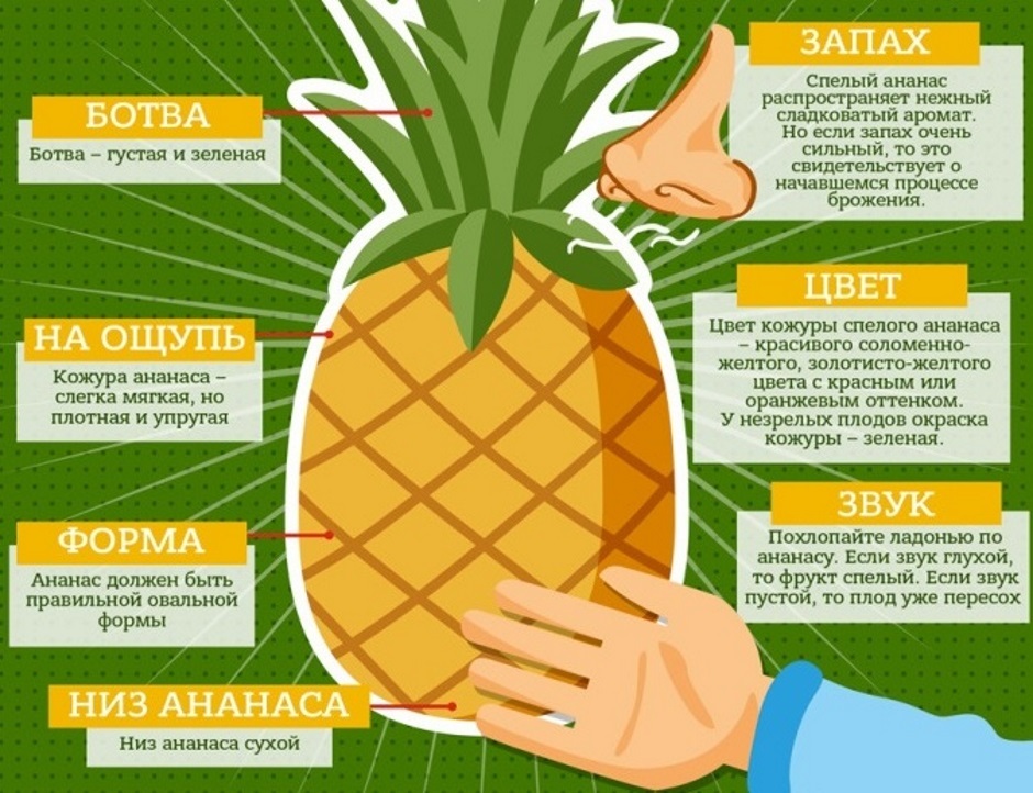Rövid utasítás az ananászválasztáshoz