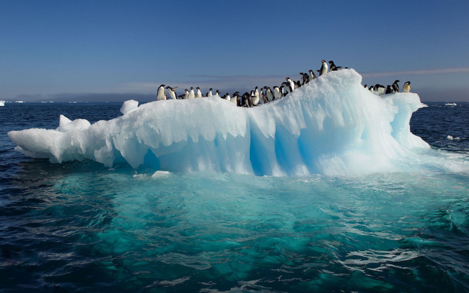 Qui a ouvert l'Antarctique