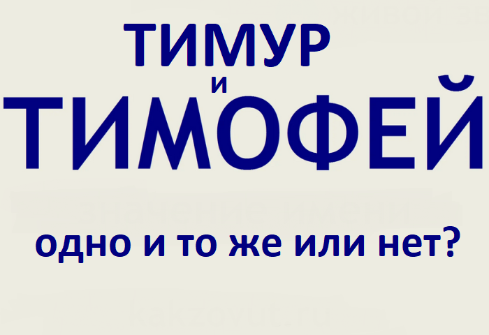 Timur and Timothy: the same name or not? Can Timur Timofey be called and vice versa?
