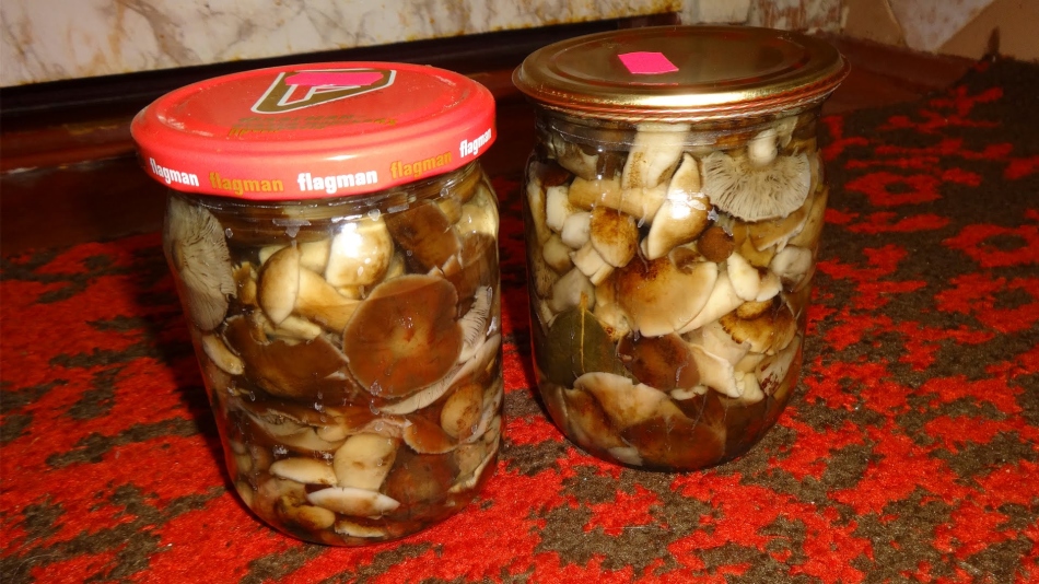 Recept na morenovanie medových agarics na zimu je najjednoduchší