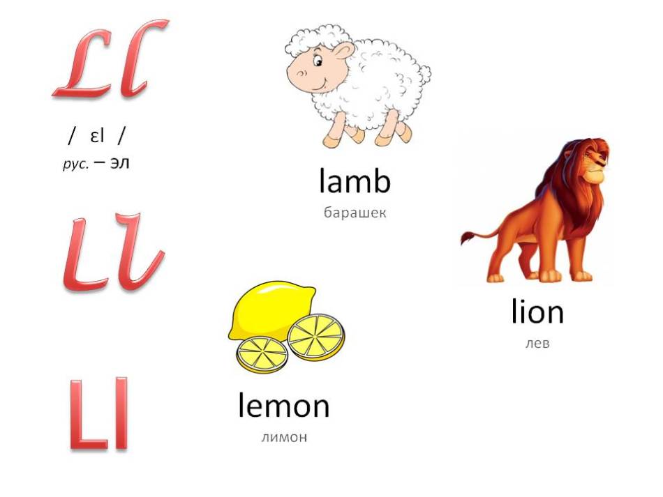 Английский алфавит с озвучкой для детей: буква ll