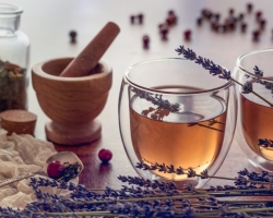 Cara menyeduh teh dengan lavender, sifat bermanfaat dan resep sederhana untuk memasak teh lavender