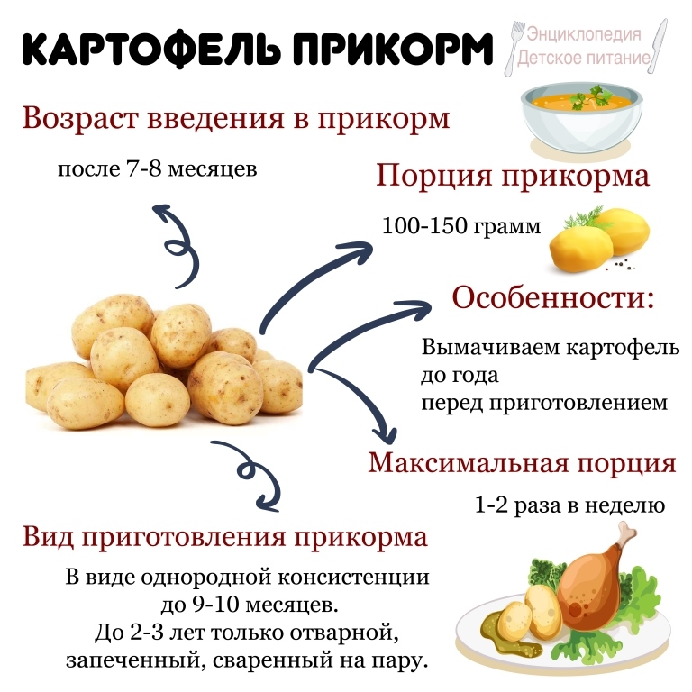 Почему хочется сырой картошки: чего не хватает в организме