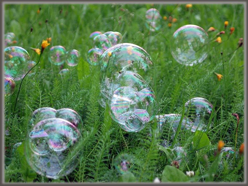 Des bulles de savon fortes n'éclatent pas, allongées sur l'herbe