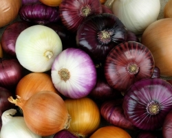 Onions for intestinal diseases, diabetes - application: folk recipes