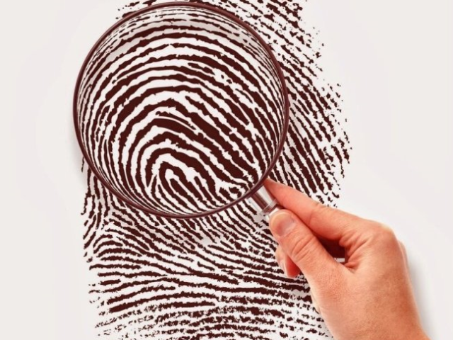 So erfahren Sie den Charakter einer Person durch Fingerabdrücke: Bögen, Schleifen, Locken, Gitter, gemischtes Muster
