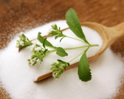 Apa Stevia dalam memasak? Resep terbaik untuk dipanggang dengan stevia, selai, permen, resep penderita diabetes