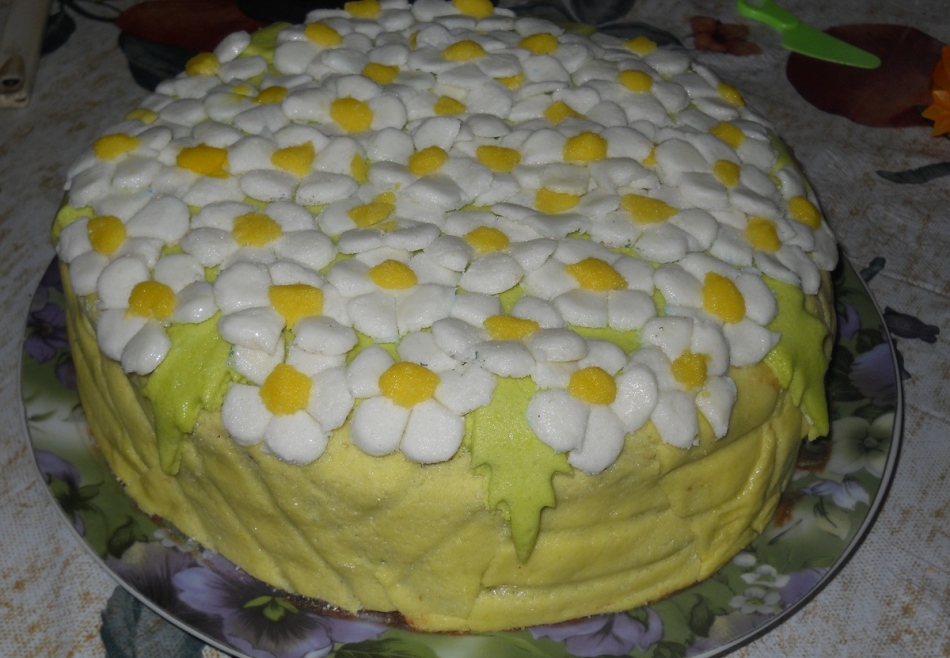 Cake chamomile field